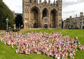 10th June 2018 - Anna’s Hope Fairy World Record Attempt